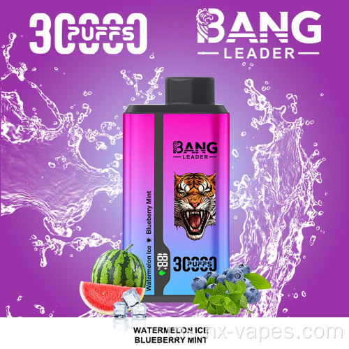Bang Leader 30000 Dual Flavors Vape Vape Borong